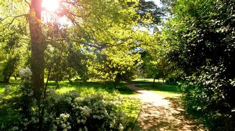 Albana Walk Ickworth Estate Suffolk National Trust