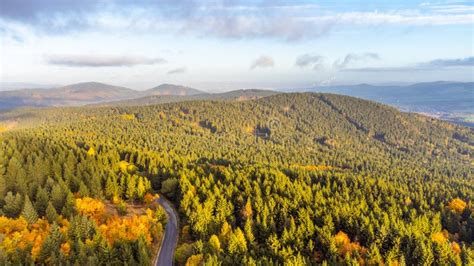 Aerial View Of Autumnal Mountain Forest Stock Image Image Of Yellow