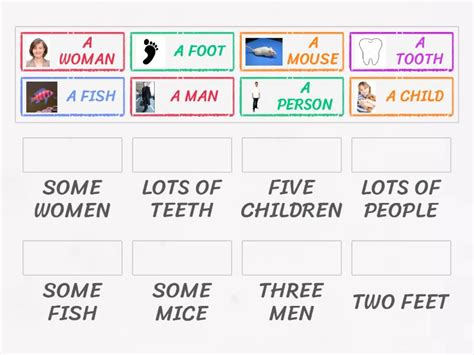 New Game Irregular Nouns Plural Une Las Parejas