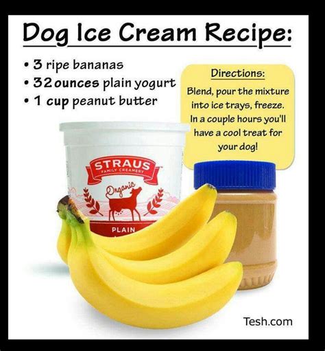 Dog Ice Cream Dog Ice Cream Recipe Dog Recipes Dog Food Recipes