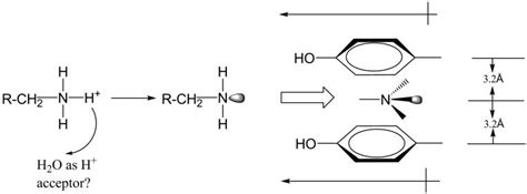 Structural Insights Into The Mechanism Of Amine Oxidation By Monoamine