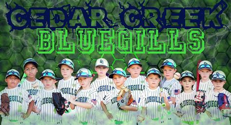 National Championship Sports Baseball Cedar Creek Bluegills 8U D3 KP