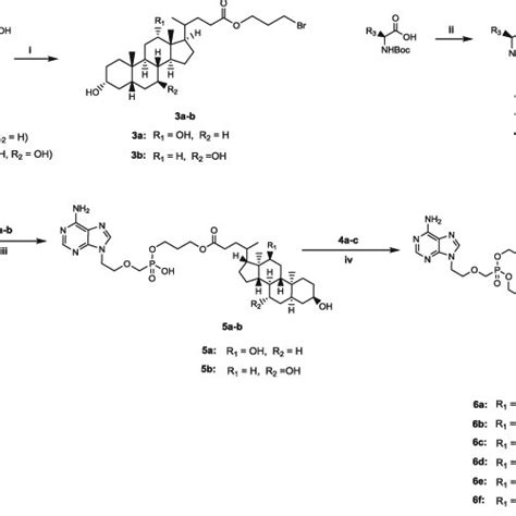 Reagents And Conditions I 3 Bromo 1 Propanol Dcc Dmap Anhydrous Download Scientific