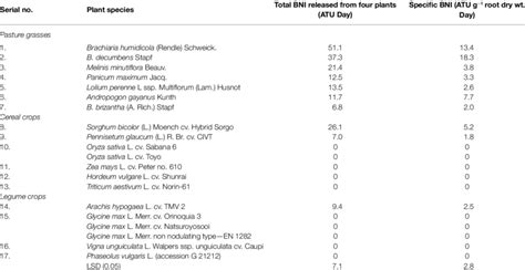 The Biological Nitrification Inhibitors Bnis Released From Intact Download Scientific Diagram