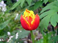 Nude Hiking And Soaking In The Pacific Northwest May 2008