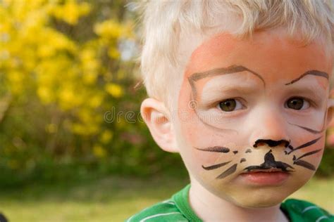 Face Paint Tiger Boy Child Stock Image Image Of Fair 11373717