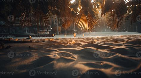 Tropisch Strand Mit Palme Bäume Und Sand Dünen Beim Sonnenuntergang