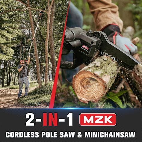 2 In 1 Cordless Pole Saw And Mini Chainsaw With Sri Lanka Ubuy