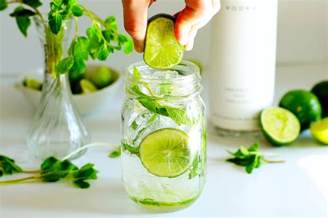 Easy Vodka Mojito - Quick and Refreshing! - The Anthony Kitchen