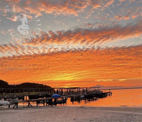 Festival Encantadas Jazz Vai Movimentar A Ilha Do Mel Nos Finais De