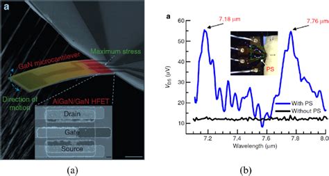 Algangan Hfet Embedded Gan Microcantilever A Sem Image Of The