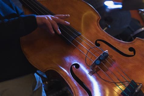 Top 11 Best Online Resources To Learn Double Upright Bass