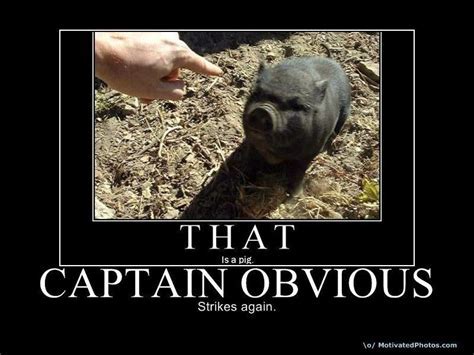 Captain obvious Memes