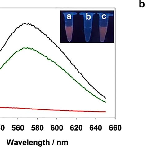 Comparison Of Mnase Activity In Different Cell Free Extracts