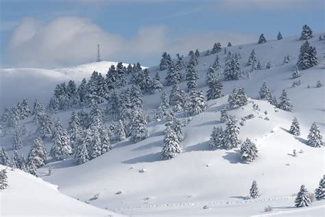 The Ski Center of Kalavryta, Greece. Stock Photo - Image of vacation ...