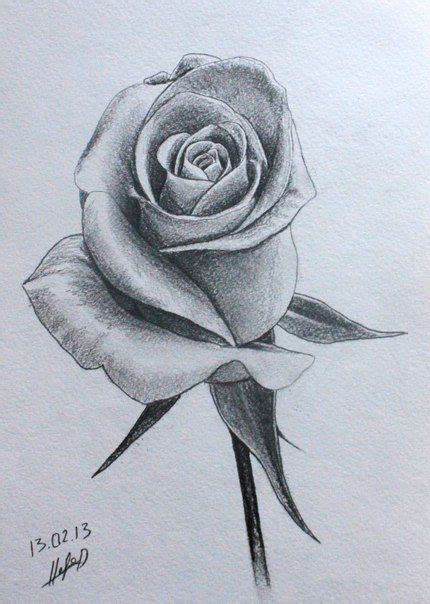 Pencil Drawings Of Rose Buds - pencildrawing2019