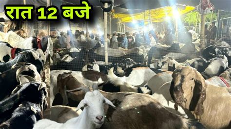 jama masjid bakra mandi raat  mandi ka rate  update youtube