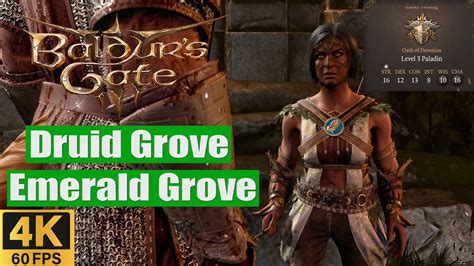 Baldurs Gate 3 Walkthrough Druid Grove Emerald Grove Youtube