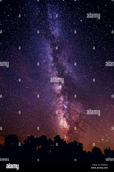 Silhouette Of Trees Under Starry Sky Stock Photo Alamy