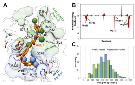 Molecular Docking And Md Simulation Analyses Reveal The Molecular