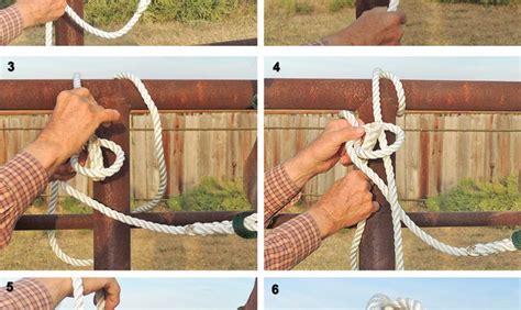 How To Safely Tie A Horse Using A Bowline Knot Quarter Horse News