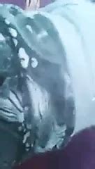 Turkish Arkadan Amateur Porn XHamster