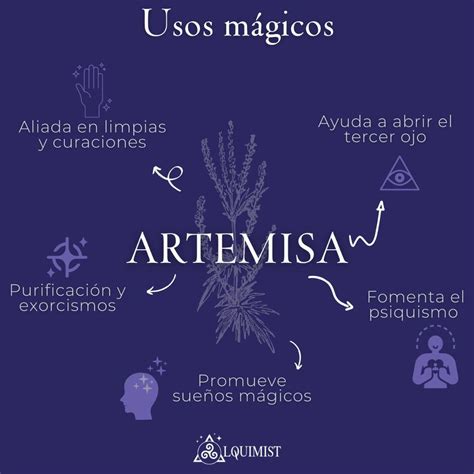 Artemisa Usos M Gicos Libro De Las Sombras Libros De Hechizos