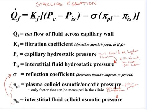 Starling's Equation and Pulmonary Edema Flashcards | Quizlet