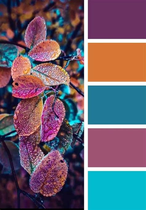 Pin di firas Azeez su منشورات من خلالك Palette dei colori