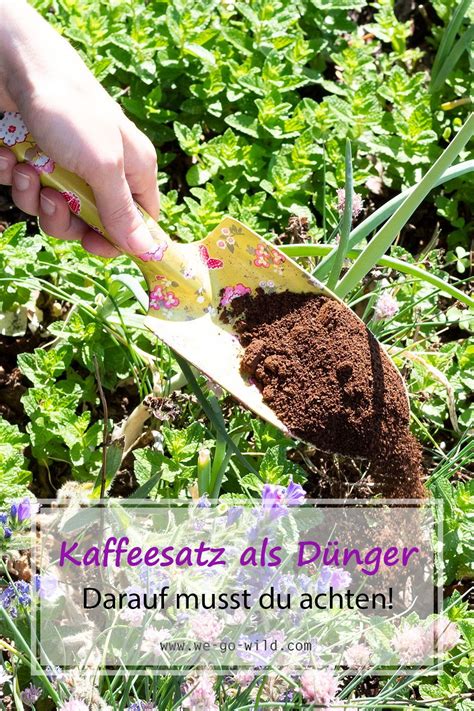 Natuerliche Duenger Fuer Den Garten