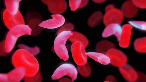 Blood Cells Wallpapers - Top Free Blood Cells Backgrounds - WallpaperAccess