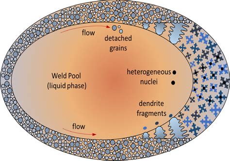 schematic diagram  grain refinement mechanisms adapted
