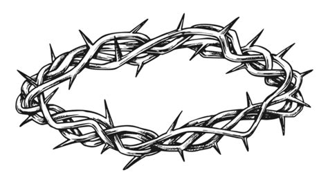 Crown Of Thorns Png Vector Psd And Clipart With Transparent