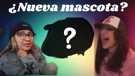 Alondra Michelle Y Rai Tienen Una Nueva Mascota Youtube