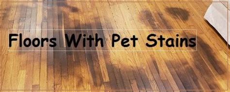 How To Remove Urine Stains From Laminate Flooring Flooring Site