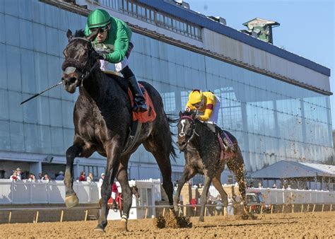 Luna Belle Makes It Four Straight in Beyond the Wire - Past The Wire