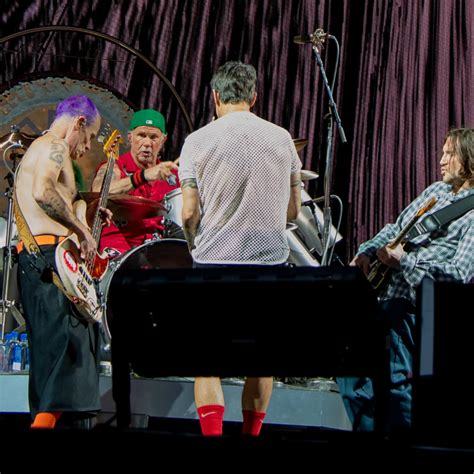 check     red hot chili peppers auckland gig