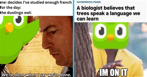 25 Duolingo Memes for Language Learners Who Fear the Green Owl - Geek ...