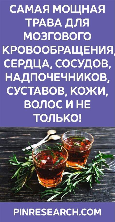 САМАЯ МОЩНАЯ ТРАВА ДЛЯ МОЗГОВОГО КРОВООБРАЩЕНИЯ, СЕРДЦА, СОСУДОВ ...