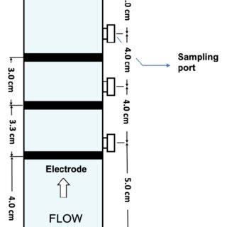 Design of the Reactor | Download Scientific Diagram