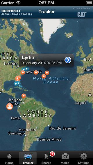 Global Shark Tracker Shark Tracker Shark Shark Fishing