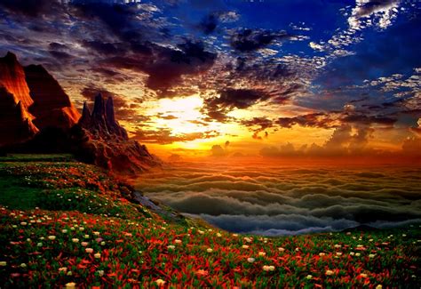 O Que É Plano De Fundo - Plano de fundo para pc Natureza, Nuvens, Flores 1440x900 | Download Grátis