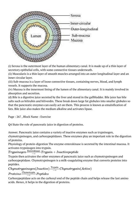 NCERT Solutions For Class 11 Biology Chapter 16 Digestion And Absorption