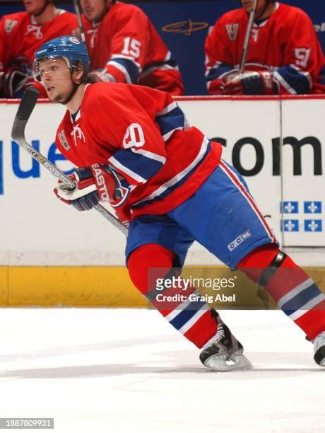 335 Montreal Canadiens Richard Zednik Photos & High Res Pictures - Getty Images