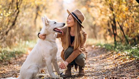 Comment reconnaître un chien en bonne santé Quelle Assurance Santé