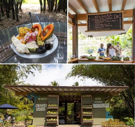 The Ultimate Guide To Farmers Markets And Fruit Stands On Maui Maui