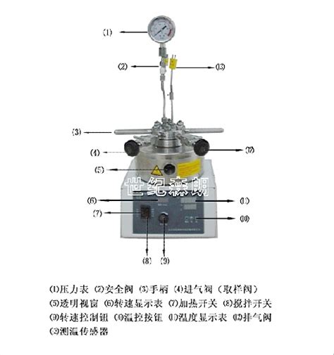 Slm500蓝宝石视窗反应釜