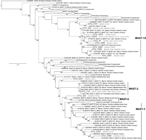 Approximate Maximum Likelihood Ml Phylogenetic Tree Of Partial 18s Download Scientific