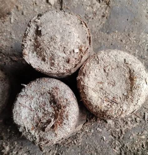 Sawdust Briquettes 90Mm At 10000 Tonne Meerut ID 2854383946762