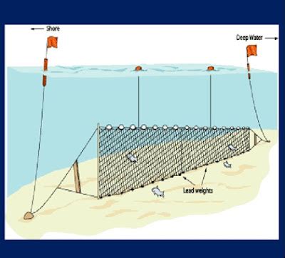 Alat Tangkap Jaring Insang Gillnet Metode Penangkapan Ikan Mpi